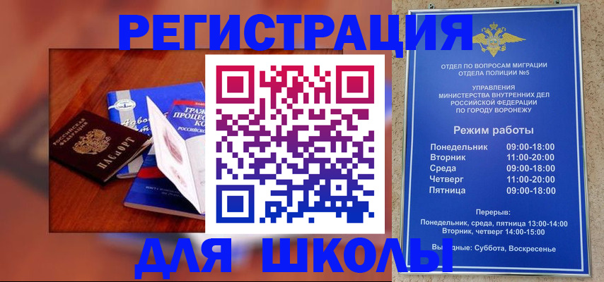 прописка для работы в Апатитах